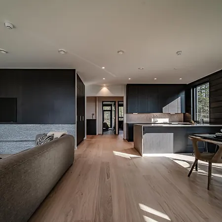 Fjaellen Lumiere Penthouse Ski-in Ski-out By Aavalevi *