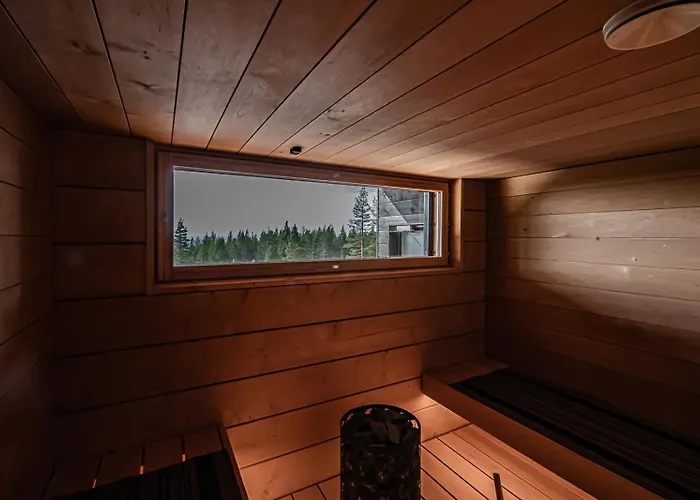 Fjaellen Lumiere Penthouse Ski-in Ski-out By Aavalevi 레비